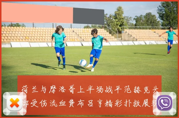 荷兰与摩洛哥上半场战平范赫克头部受伤流血费布吕亨精彩扑救展现实力